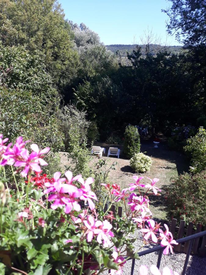 L'escale Arquaise, la maison au jardin fleuri à 5 min de dieppe Arques-la-Bataille Esterno foto