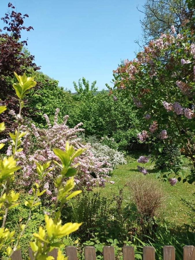 L'escale Arquaise, la maison au jardin fleuri à 5 min de dieppe Arques-la-Bataille Esterno foto